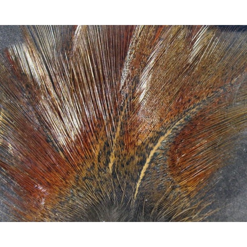 Hareline Coq De Leon Feathers Brown