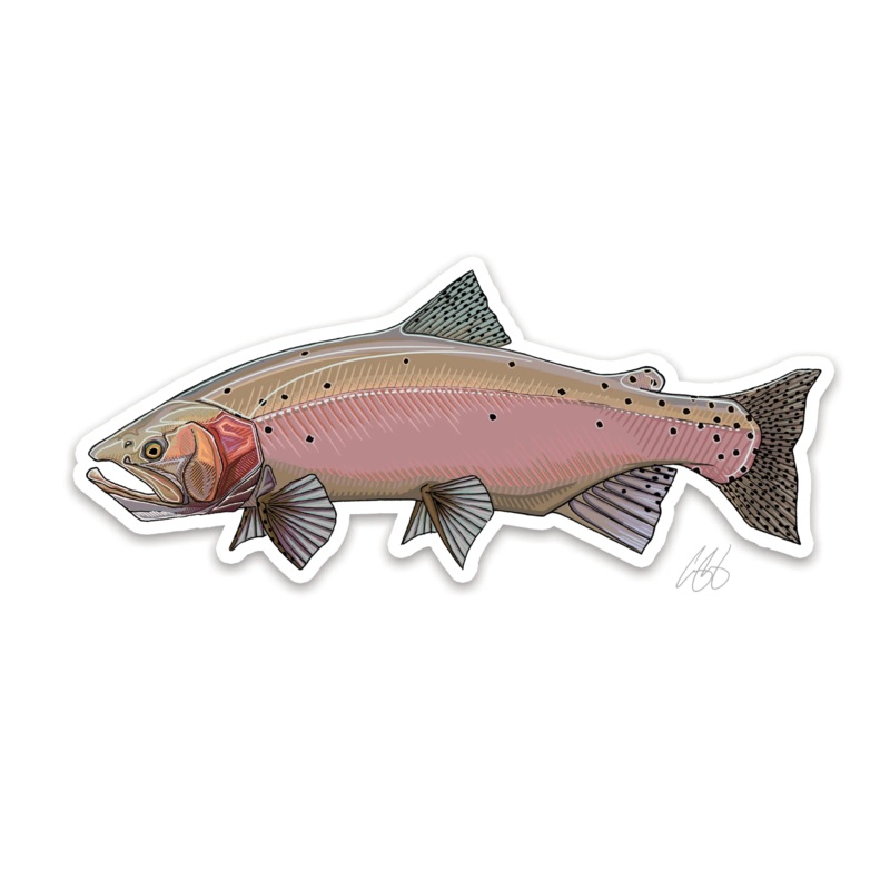 Casey Underwood Lahontan Cutthroat Decal Sticker