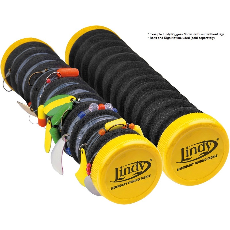 Lindy Rigger Leader Organizer Lindy Rigger Leader Organizer – 1 Rigger