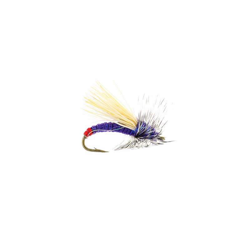 Umpqua Garcia’s Mini Hot (3-Pack) 16 Purple
