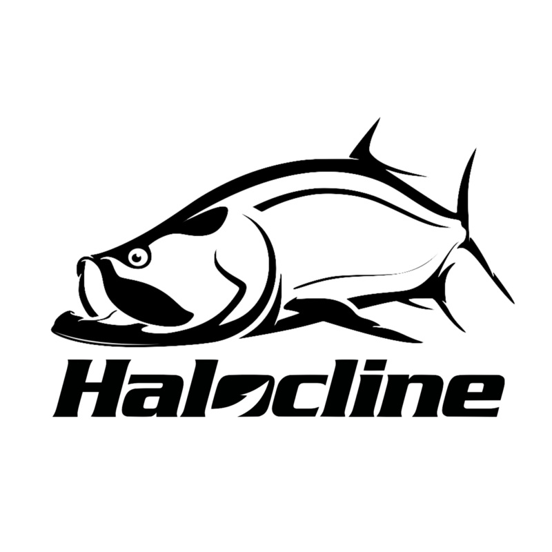 Halocline Tarpon Decal