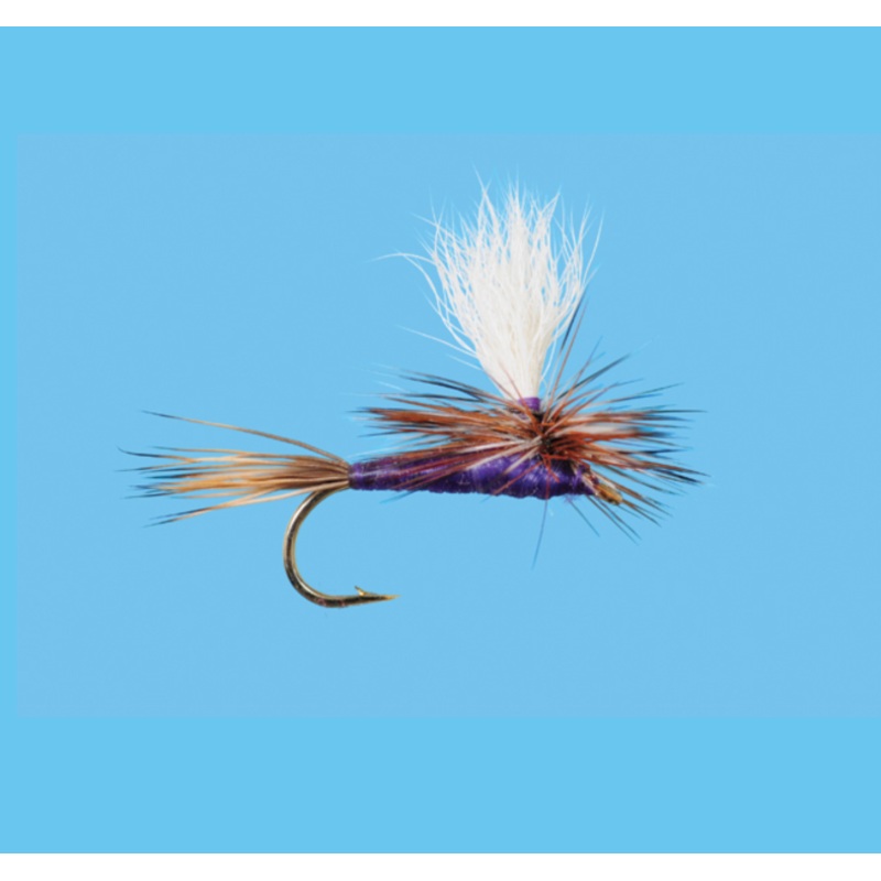Solitude Parachute Purple Adams 12