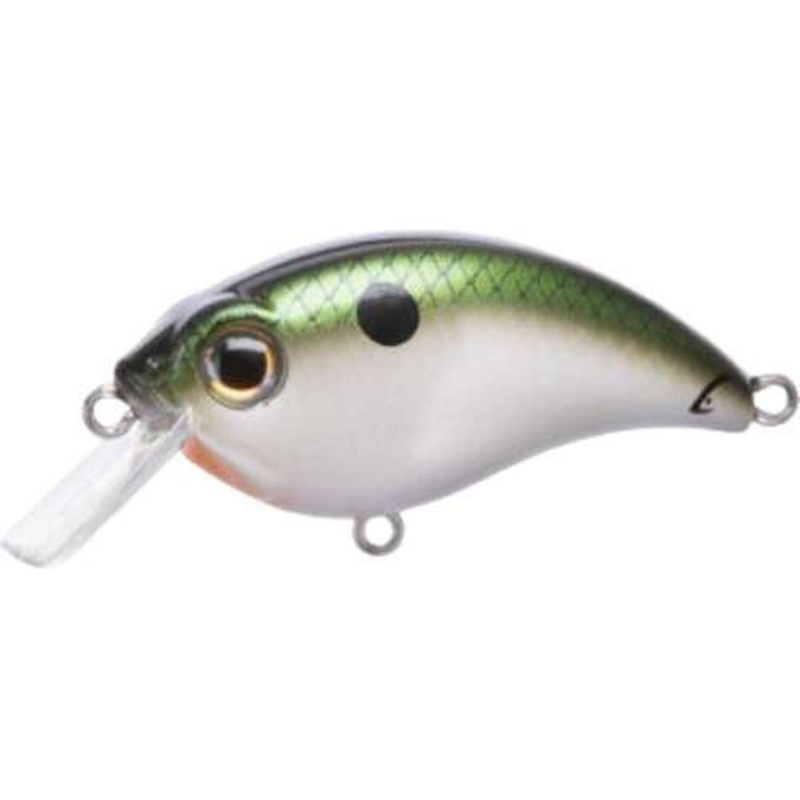 Bill Lewis ATV Squarebill Crankbaits Tennessee Shad 1.0 (2in, 2-4ft)