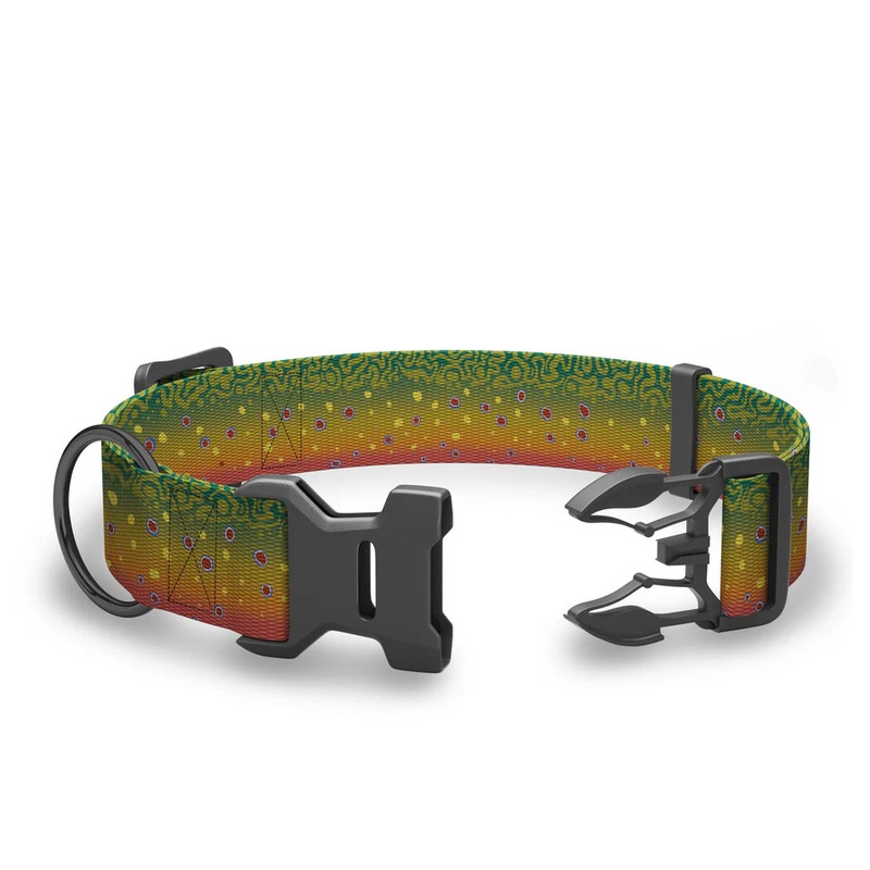 Wingo – Coosa Dog Collar – Brook Trout 2022 – Large