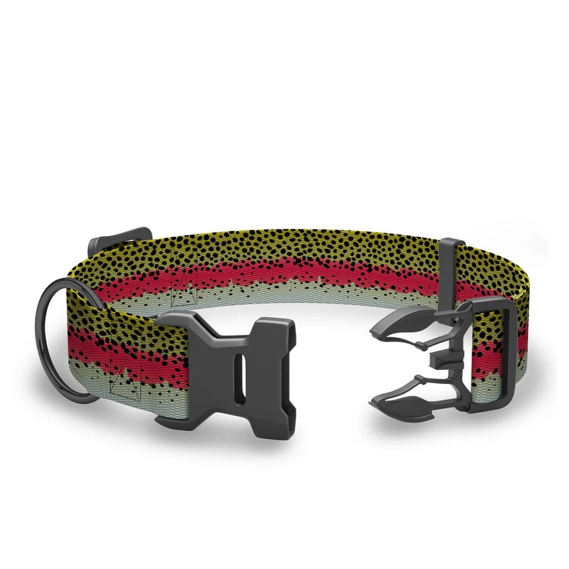 Wingo – Coosa Dog Collar – Rainbow Trout 2022 – Medium