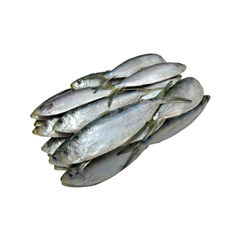 BIONIC BAIT FROZEN THREAD HERRING SMALL 1LB