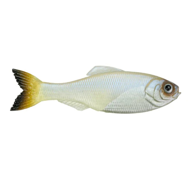 6th Sense Panorama 2.8″ (8 Pk) Clearwater Shad