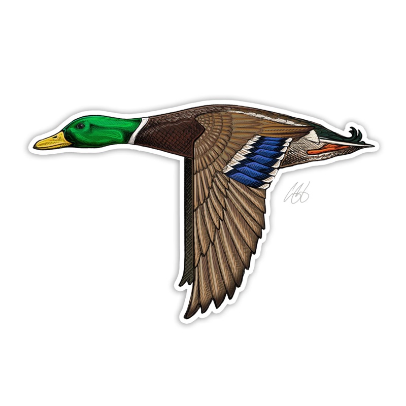 Casey Underwood Mallard Decal Sticker