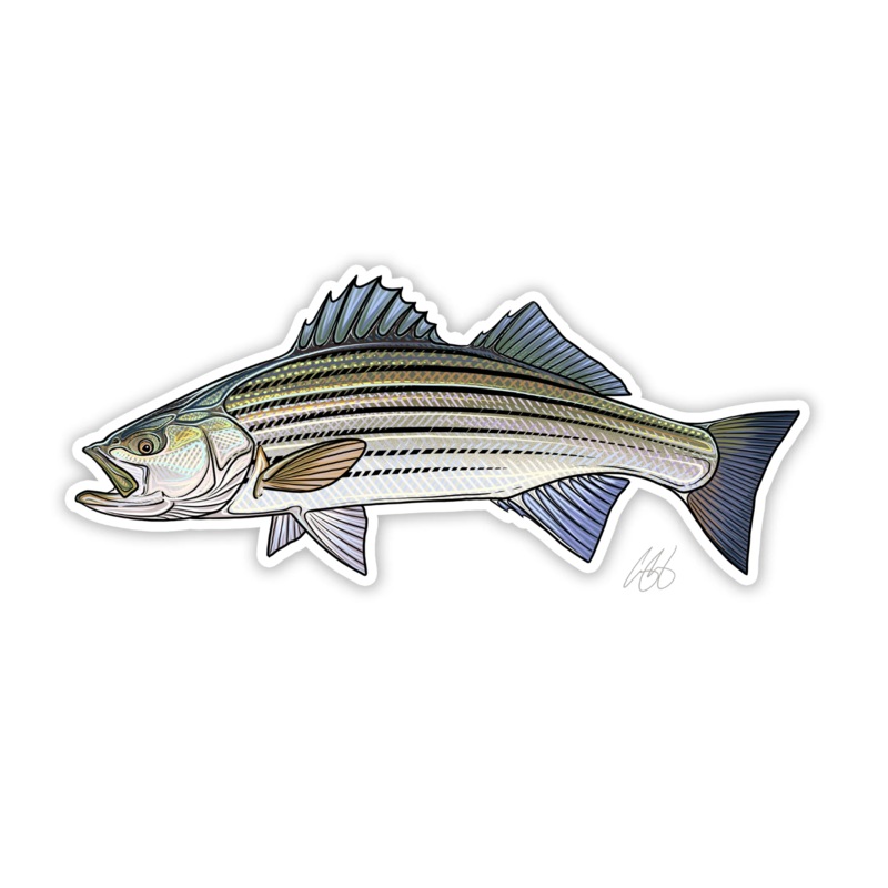 Casey Underwood Striped Bass Decal Sticker