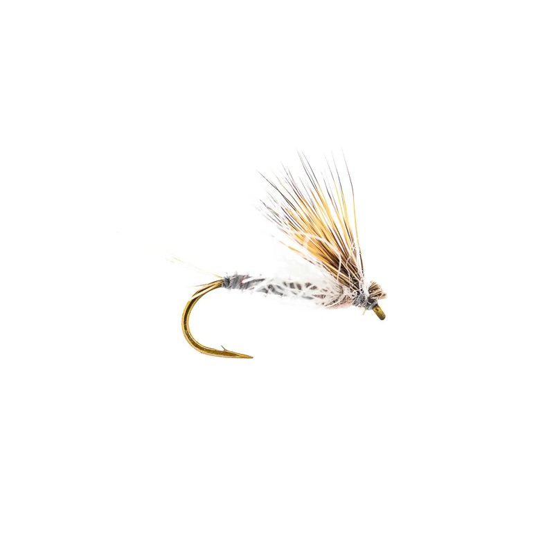 Montana Fly Company Galloup’s Found Link- Callibaetis – Callibaetis (3-Pack) 14