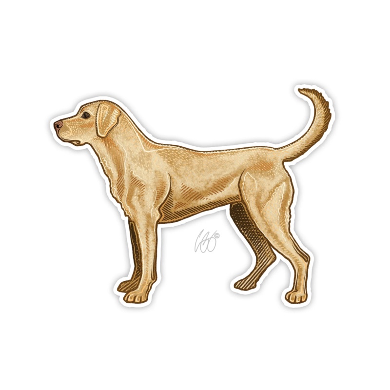 Casey Underwood Yellow Lab Decal Sticker