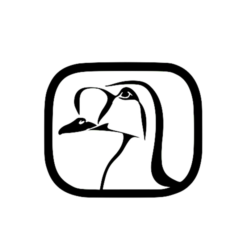 King Eider Decal