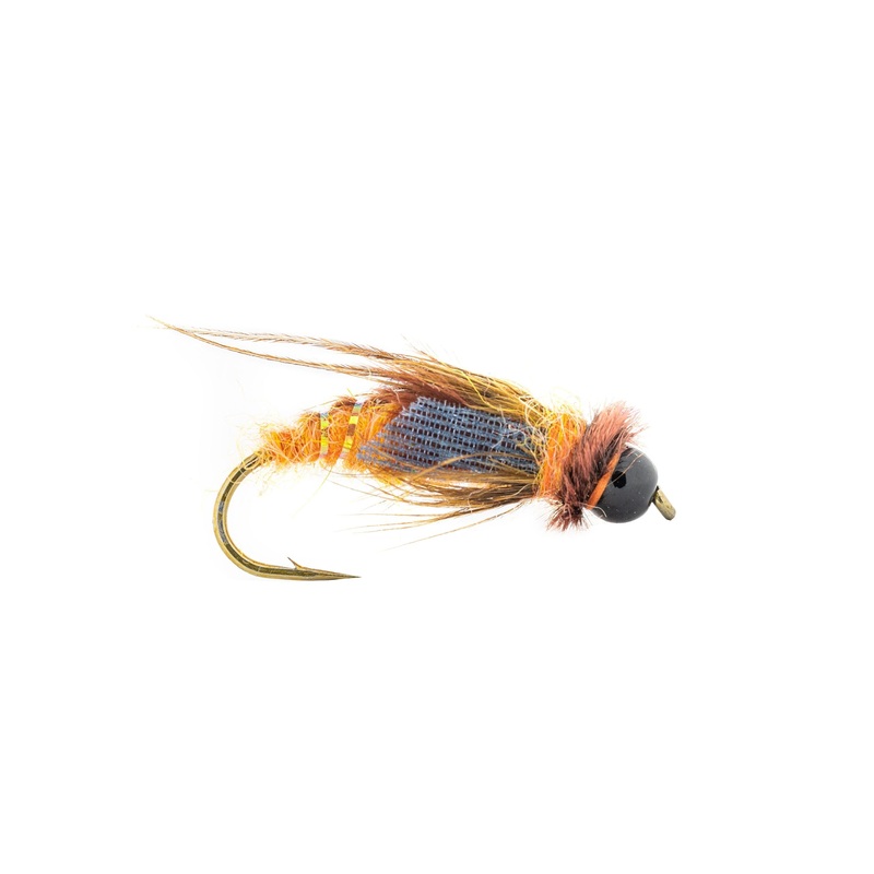 Umpqua October Caddis Nymph (3-Pack) 8