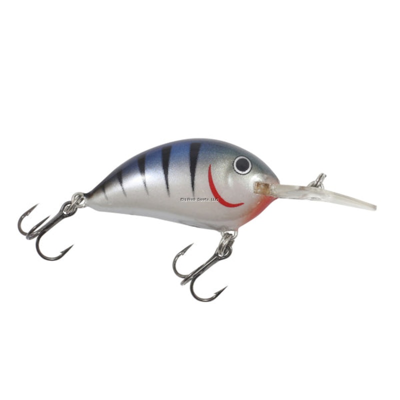 Northland Rumble Bug Blue Tiger