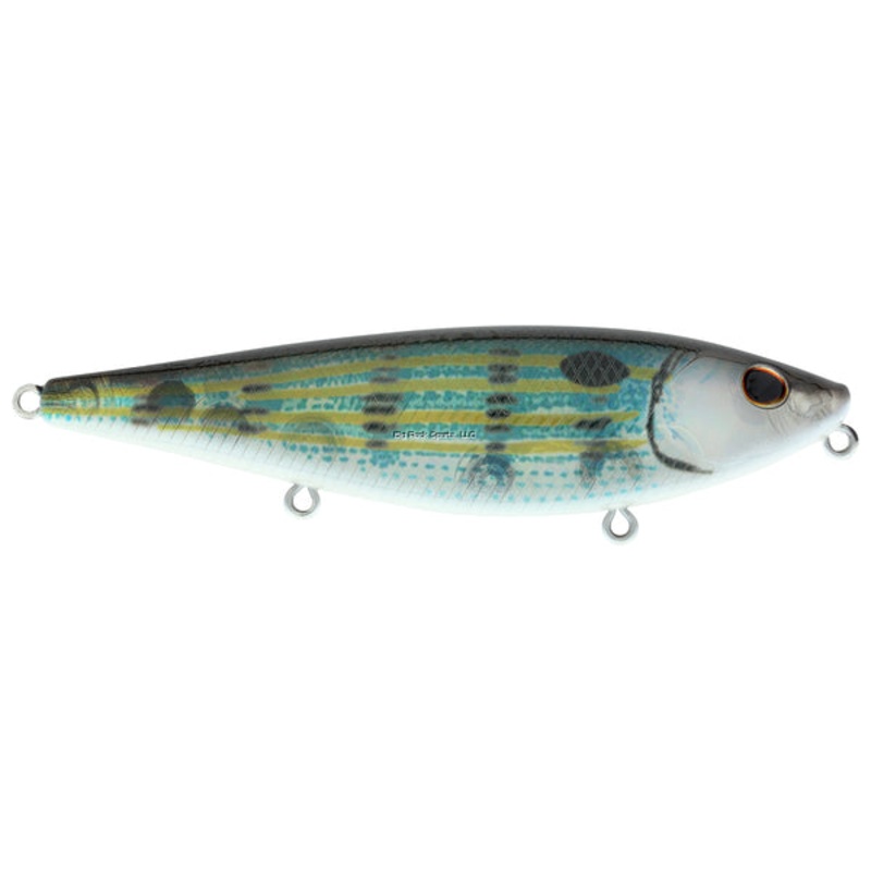 Berkley HighJacker Saltwater Top Water, 2/3oz, 3 7/8″, Pinfish