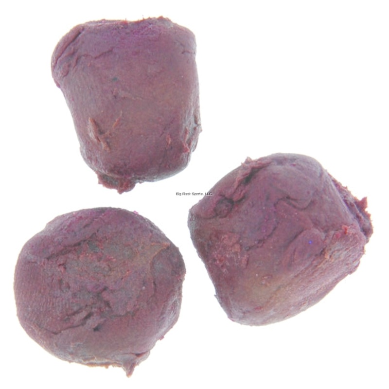 Berkley Gulp Catfish Dough (5oz, Assorted Colors) Bloody Bloody