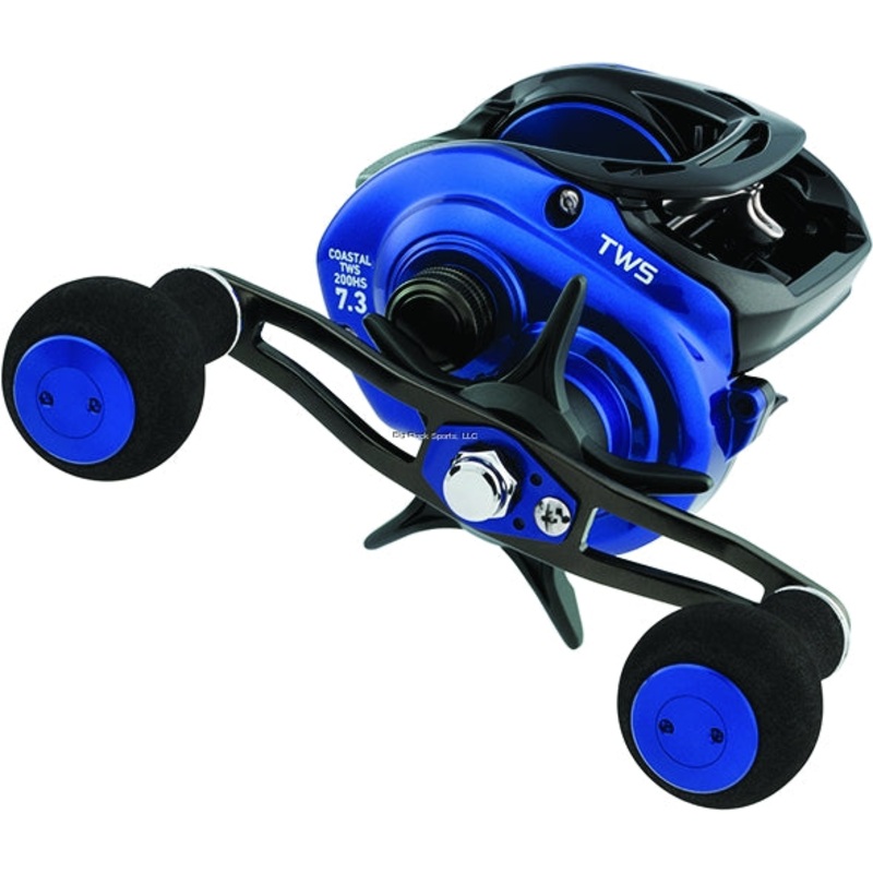 Daiwa Coastal TW 200 Inshore Baitcasting Reels CLTW200HS (RH)