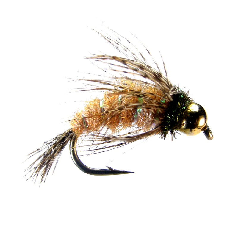 Anderson Bird of Prey (6-pack) #8 October Caddis