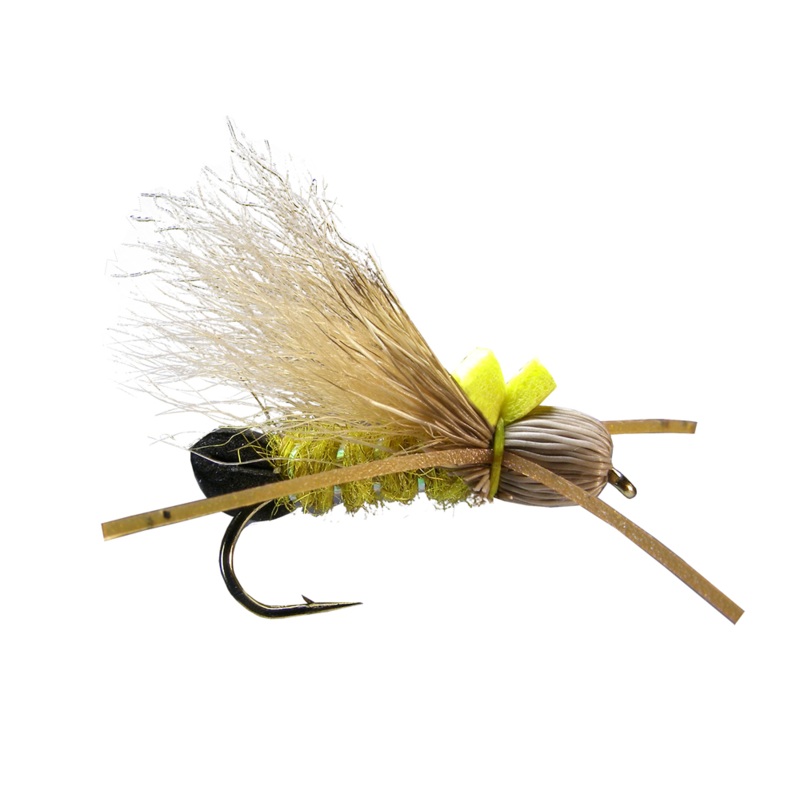 Bullethead Golden (6-pack) #8 Tan Wing