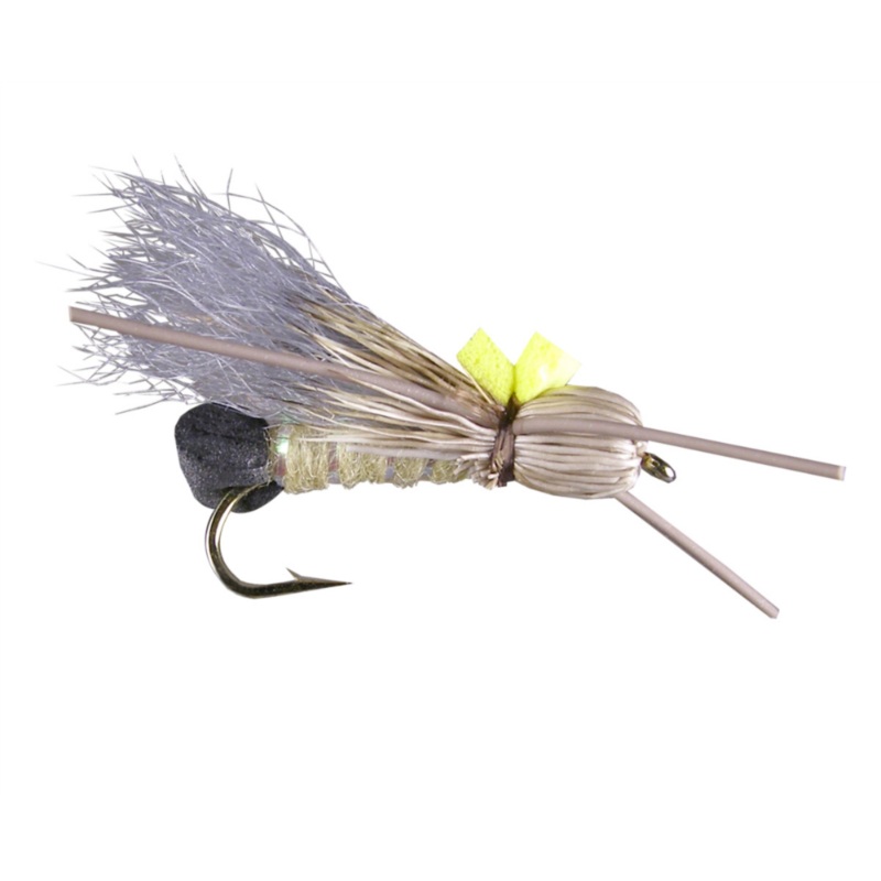 Bullethead Skwalla (6-pack) Grey Wing #10