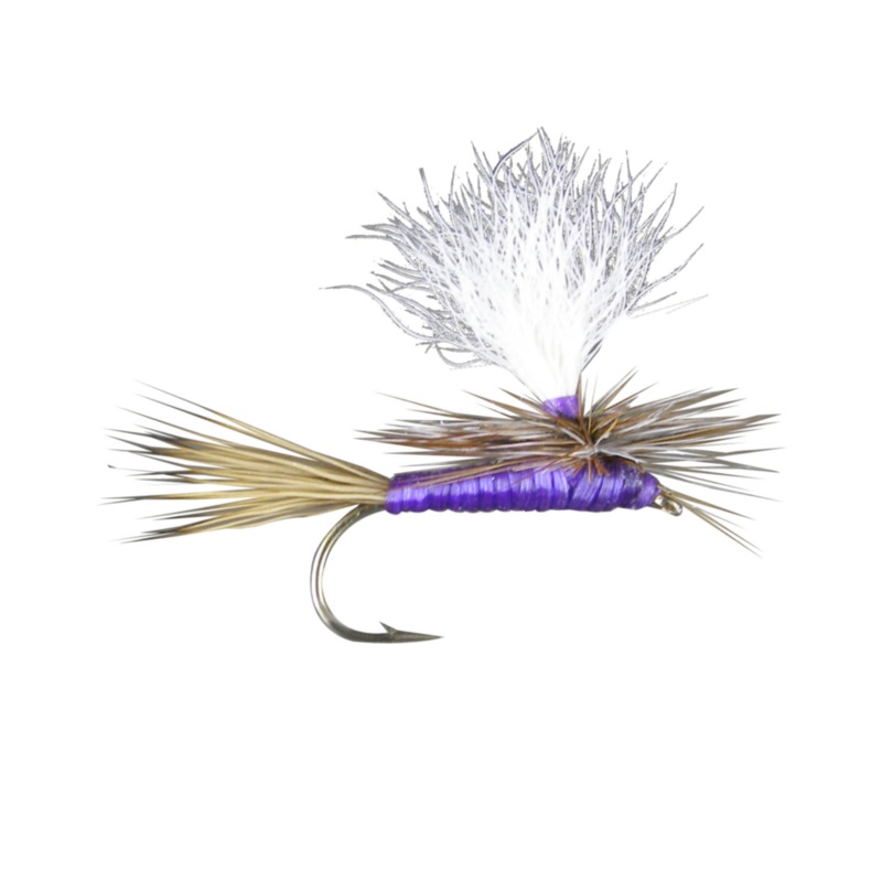 Carlson’s Purple Haze (6-pack) #10