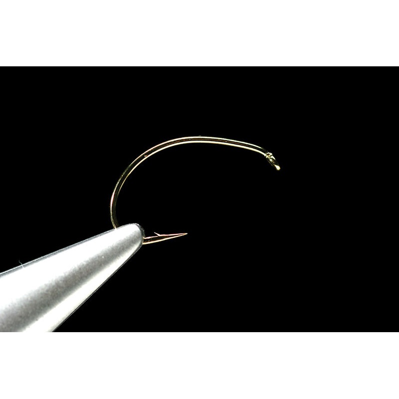 Daiichi 1130’s #10
