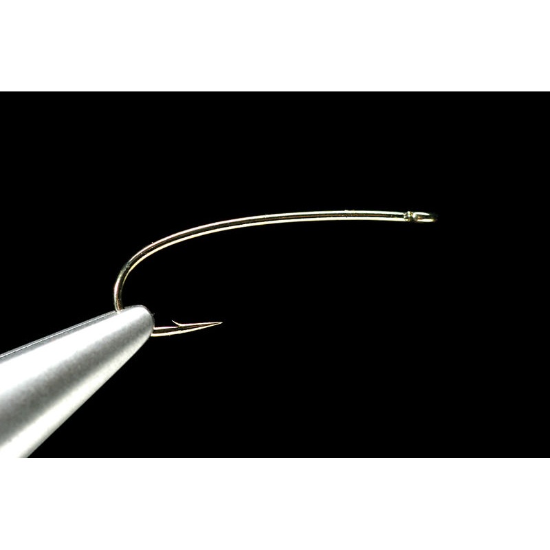 Daiichi 1260’s #6