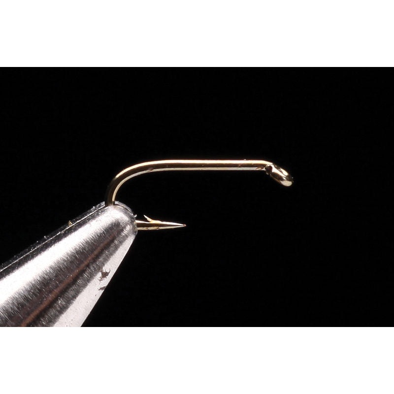 Daiichi 1310’s #10