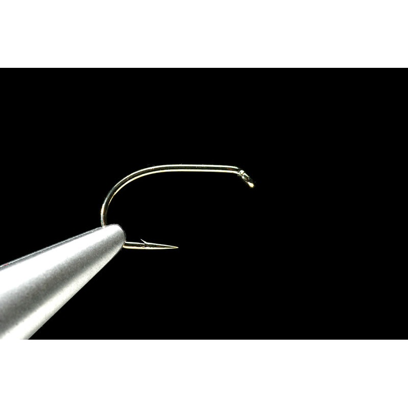 Daiichi 1510’s #6