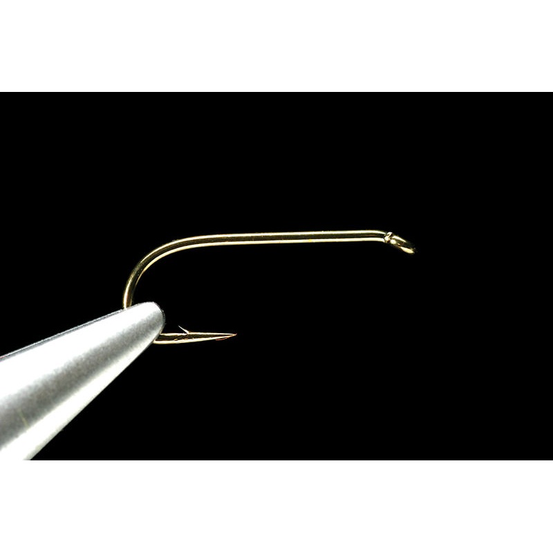 Daiichi 1560’s #6