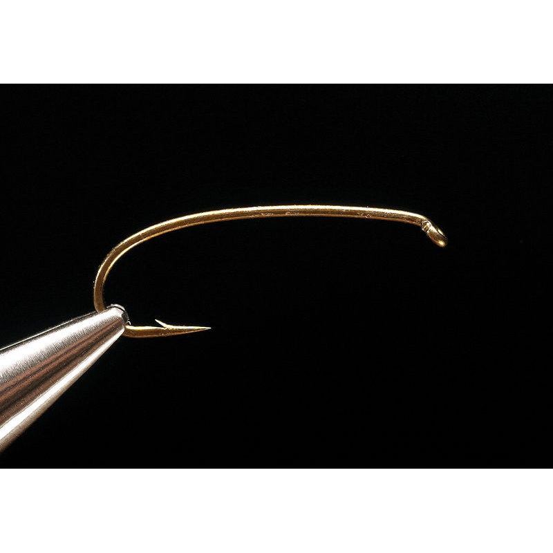 Daiichi 1760’s #4