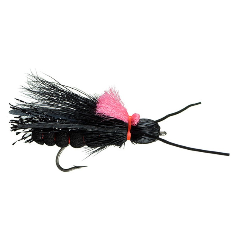 Rogue River Stone (6-pack) Dark Salmonfly #06