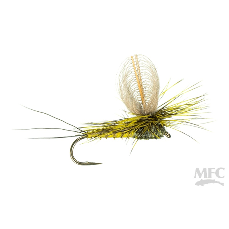 CDC Loop Wing Dun (6-pack) #12 Green Drake