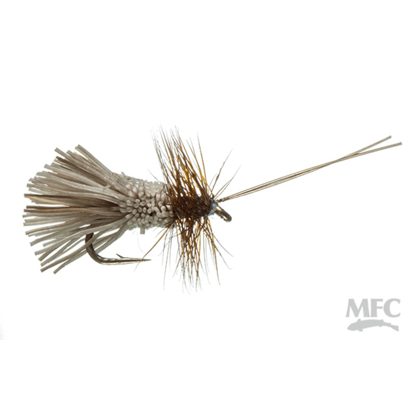 Goddard Caddis (6-pack) #08