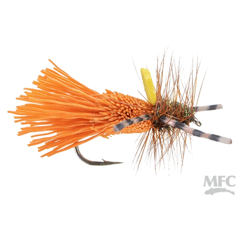Godlike Caddis- October (6-pack) #10