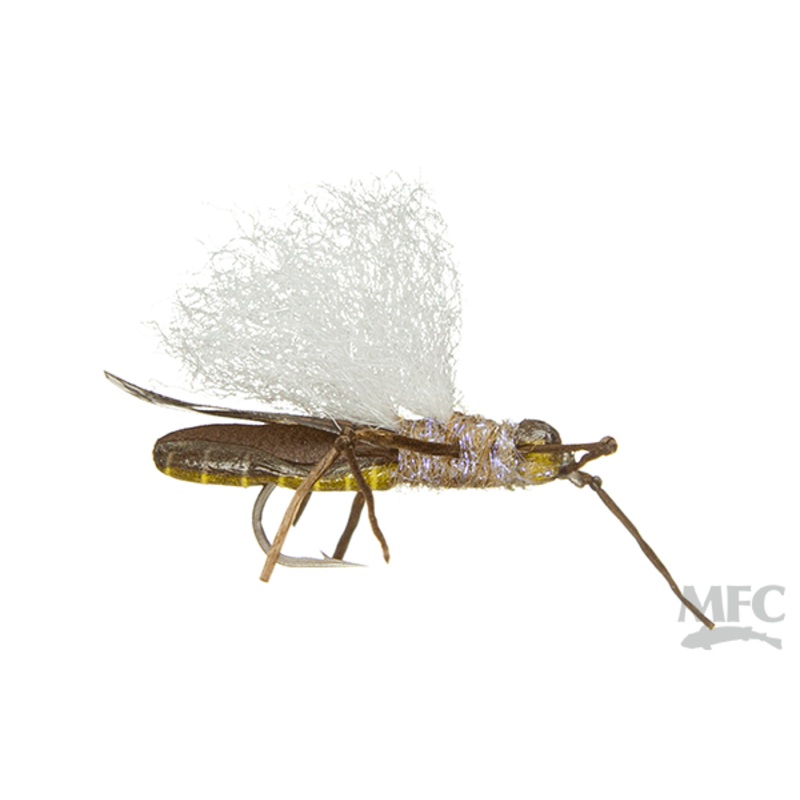 True Stonefly Flies- Winged (6-pack) Salmonfly #06