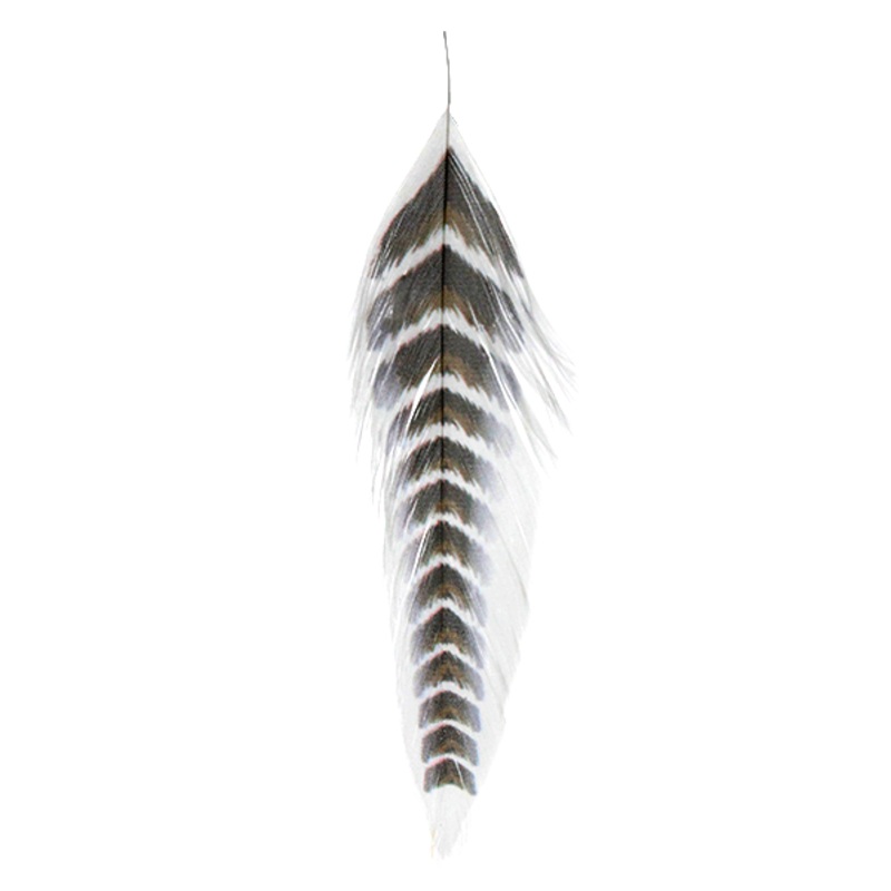 MFC Galloup’s Fish Feathers- Grizzled Brown/Black