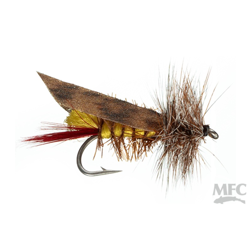 Joe’s Hopper (6-pack) One Color #10