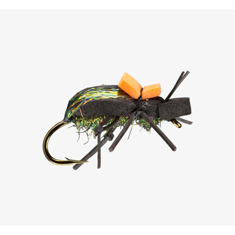 RIO’s Ground Beetle (6-pack) Black #06