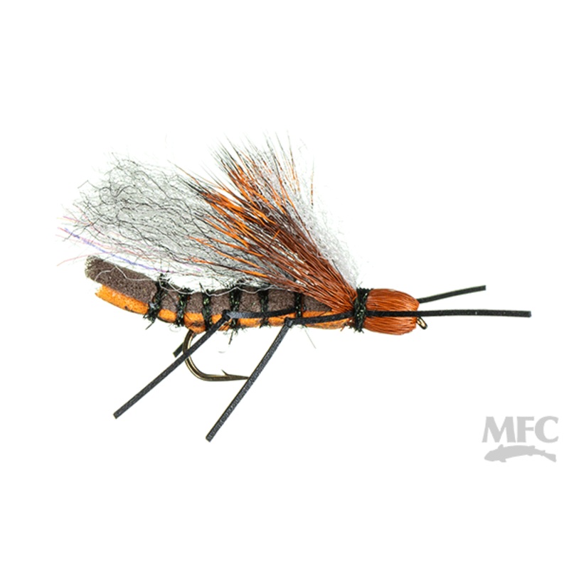 A.J’s Rolling Stone (6-pack) Salmonfly #06