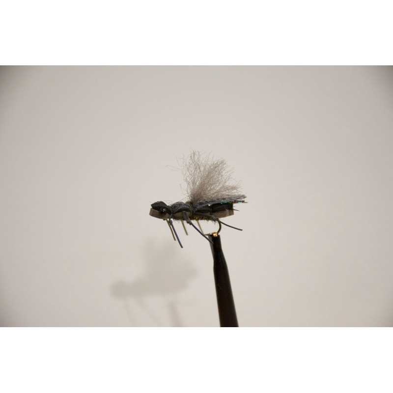 GH’s Supa-Dupa Stone (6-Pack) Skwala #12