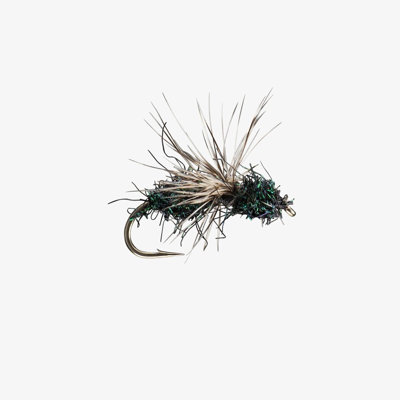 Glitter Ant (6-pack) Black #16