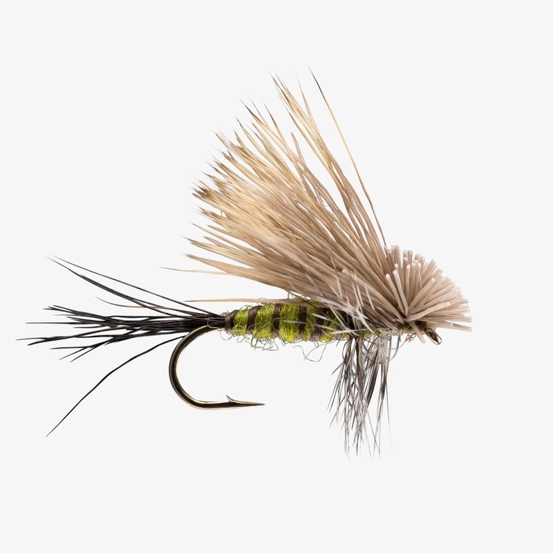 Hairwing Drake (6-Pack) Grey Drake #10