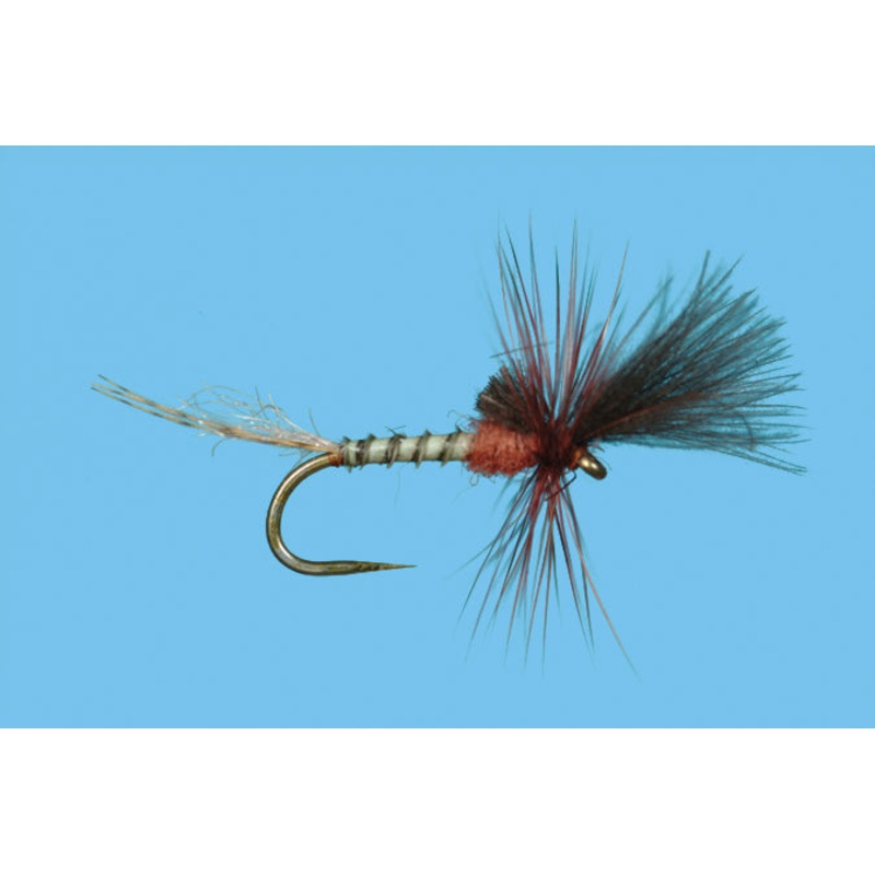 Last Chance Cripple (6-Pack) Mahogany #14