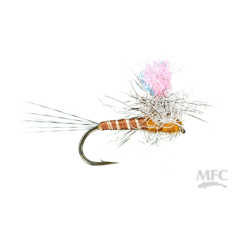 MFC Guide Winna Spinna  (6-Pack) Brindle #14