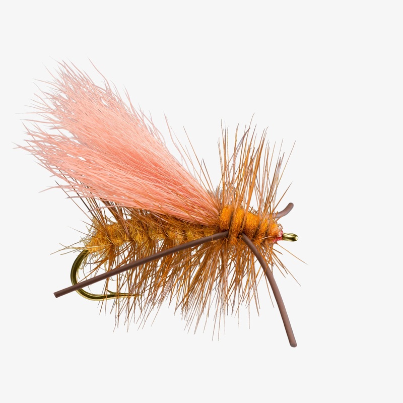 Norm Wood Special- RL (6-pack) #08