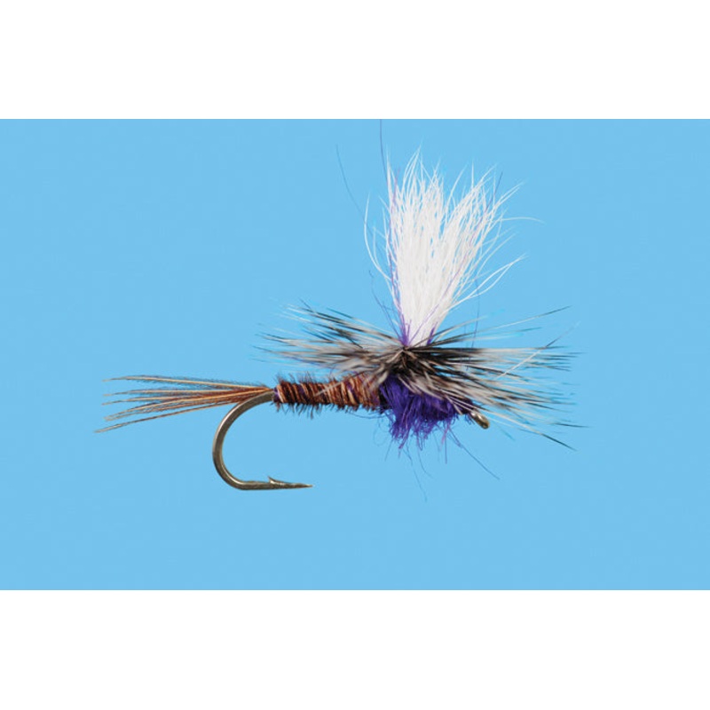 Parachute Purple Rooster (6-Pack) One Color #14