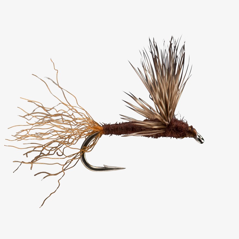 Sparkle Dun (6-Pack) Mahogany #16