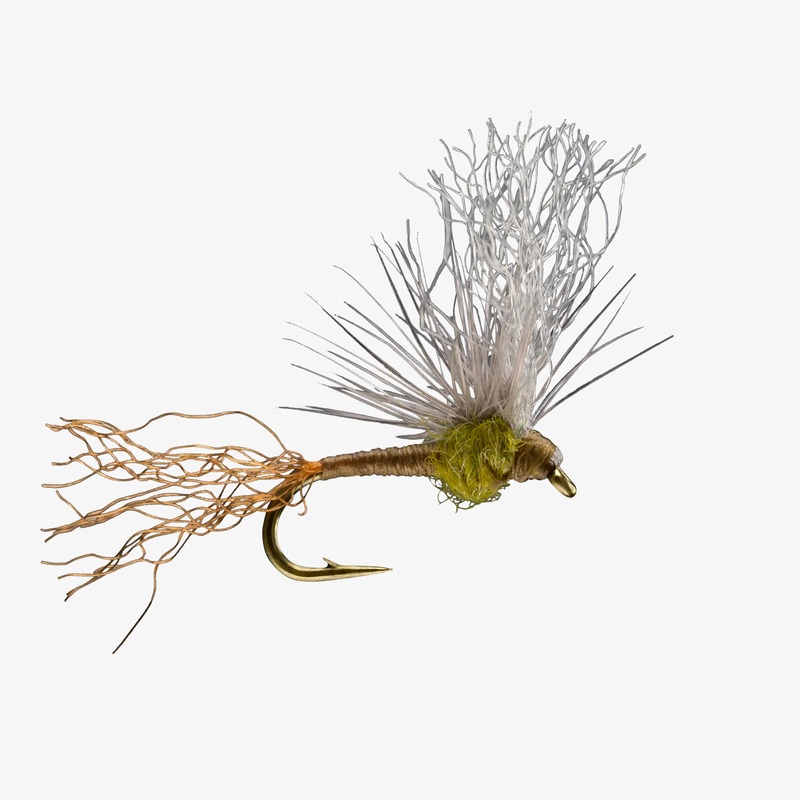 Sparkle Flag (6-Pack) BWO #18