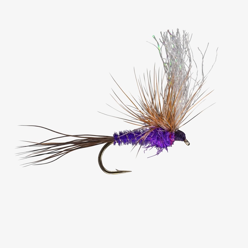 Split Flag (6-Pack) Purple #12